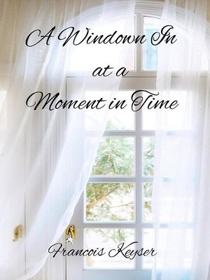 cover image of A Window in at a Moment in Time